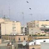 Trani 27.08.2002 (falso)